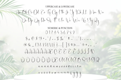 Natural Product Image 7