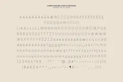Morrow Minimal Monoline Sans Serif Font Product Image 7