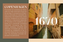 Cronisse - Modern Display Serif Product Image 7