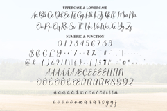 Endfield Product Image 7