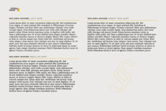 Golden Goose Italic Infused Serif Product Image 7