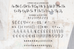 Vintage Product Image 7