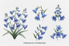 15 Bundle Watercolor Blue Bell Flower Spring Floral Garden Product Image 7