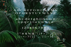 Petrichor - Expanded Serif Product Image 7