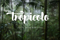 Scotland Product Image 7