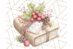 Christmas Book Clipart, Festive Reading PNG Illustrations Product Image 3