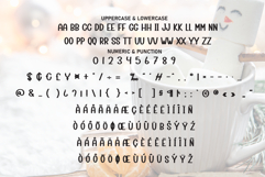 Winter Vibes Product Image 7