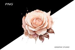 Rose gold Flowers PNG, Watercolor Rose Bouquet Product Image 1