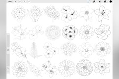 130 Procreate Flowers Stamp Brushes Product Image 2