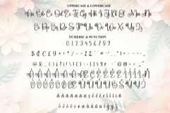 Caption Product Image 7