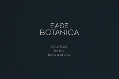 Calvia Minimalist Sans Serif Font Product Image 7
