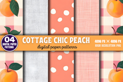 Cottage chic peach Digital Background Paper PNG Product Image 1