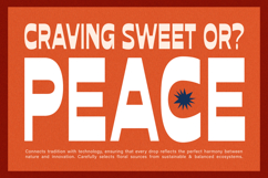 Meltoga - Bold Retro Condensed Tall Reverse Contrast Product Image 8