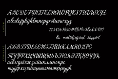 Wild Faroes Cyrillic Font Product Image 7