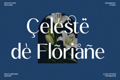 Noctifa Modern Luxury Sans Font Product Image 7