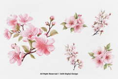 15 Bundle Watercolor Sakura Flower Cherry Blossom Japanese Product Image 7