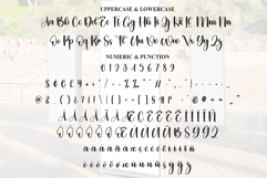 Standy Product Image 7