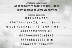 Special Christmas Product Image 7