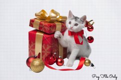 Christmas Cats Clipart Bundle PNG Product Image 8