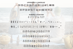 Beach Party Product Image 7