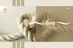 Snowberry Brush Product Image 7