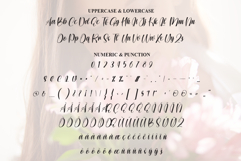 Delight Product Image 7