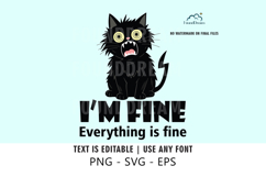 I'm fine, Everything is fine Product Image 1