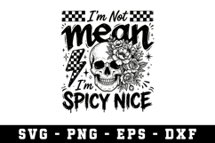 I'm Not Mean Spice Nice Bundle |Sarcastic SVG Cut files | Product Image 1