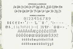 Charming Alphabet Product Image 7