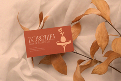 Collectivo - Stylish Condense Serif Product Image 8