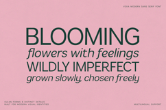 Vexa Modern Sans Serif Font Product Image 7