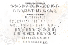 Butterfly Product Image 7