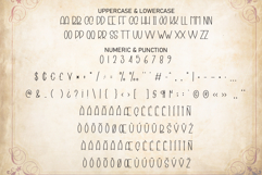 Vintage Enjoy Product Image 7