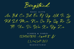 Bongstand Elegant Handwritten Font Product Image 7