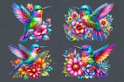 Rainbow Hummingbird sublimation print design PNG Product Image 2