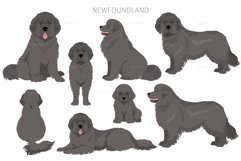 Newfoundland cliaprt Product Image 8
