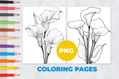 Calla lily flower Coloring Pages | Coloring book Product Image 1