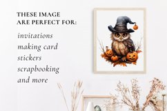 Cute owl halloween clipart, owl sublimation Product Image 3