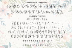 Angista Product Image 7