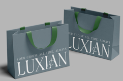 Deluvia - Elegant Serif Typeface Product Image 7