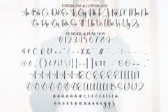 Dandiest Product Image 7