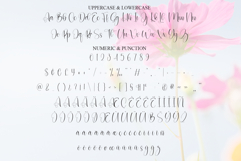 Beautiful Product Image 7