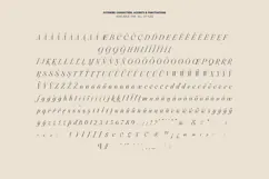 Aviel Elegant Expressive Serif Font Product Image 7