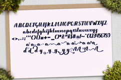 Jaylus Script Product Image 5