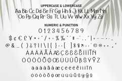 Oneday Product Image 7