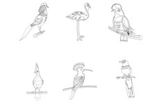 Birds Outlines Set 1 Procreate Brush Stamps, 30 Bird Product Image 7