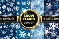 Snowflakes Digital Papers - 04 Variations Product Image 1