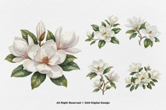 15 Bundle Watercolor Magnolia Floral White Flower Botanical Product Image 7