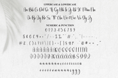 Dingbats Product Image 7