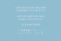 Juliette Pixel Art Serif Product Image 7